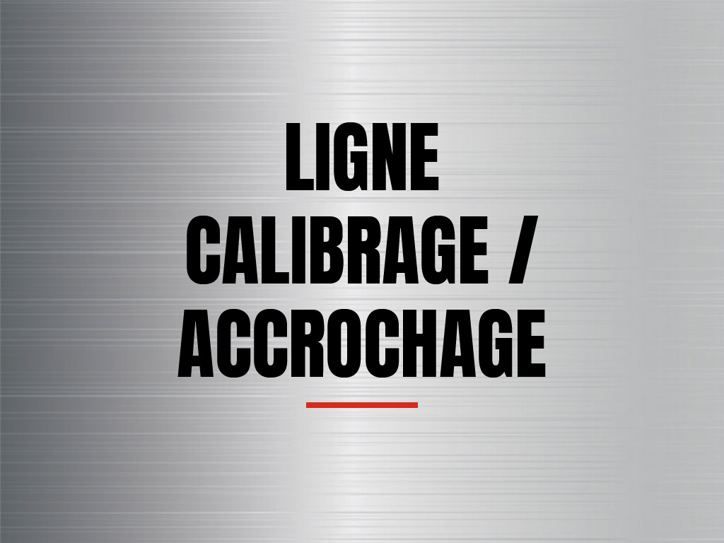 image catégorie Ligne de calibrage et accrochage