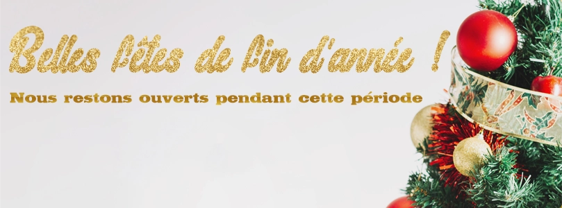 fêtes fin d'année 2023
