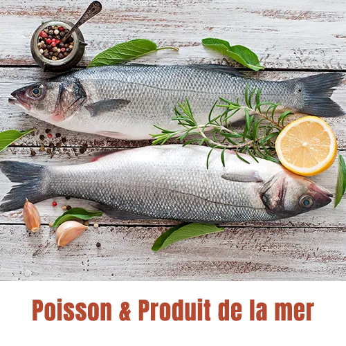 image illustrative application poisson & produit de la mer